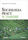 okładka książki - Socjologia pracy w zarysie