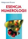 okładka książki - Esencja numerologii