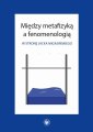okłakda ebooka - Między metafizyką a fenomenologią.