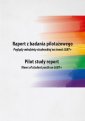 okłakda ebooka - Raport z badania pilotażowego.